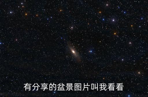 有分享的盆景圖片叫我看看