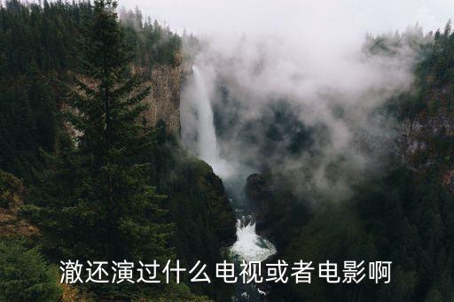 子家，澈還演過什么電視或者電影啊