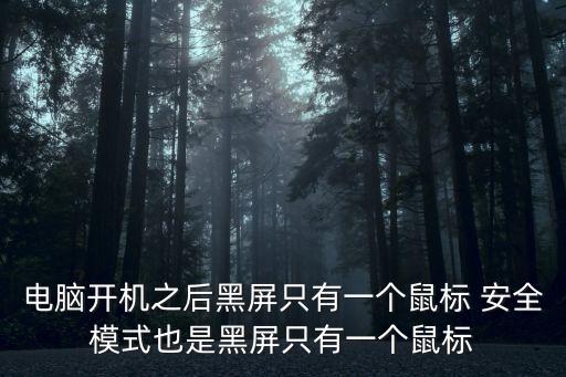 電腦開機之后黑屏只有一個鼠標 安全模式也是黑屏只有一個鼠標