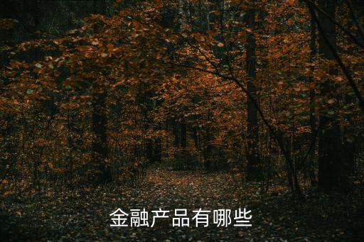 金融產品有哪些