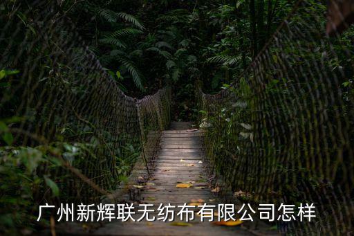 廣州新輝聯無紡布有限公司怎樣