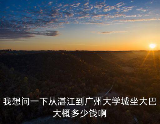 我想問一下從湛江到廣州大學城坐大巴大概多少錢啊