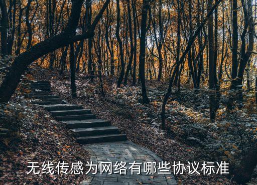 無線傳感網絡，無線傳感為網絡有哪些協議標準