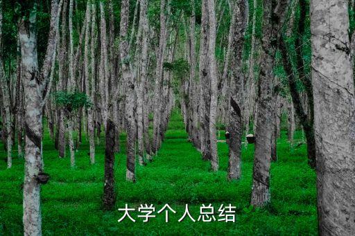 大學個人總結