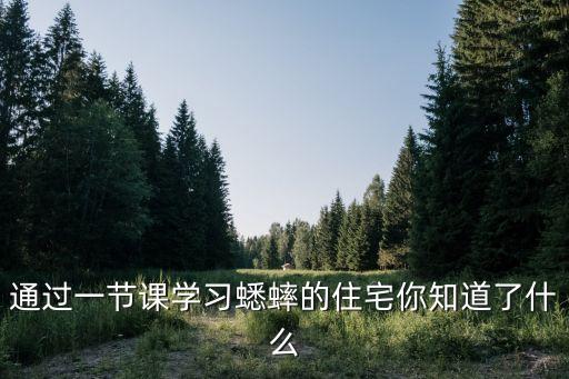 通過一節課學習蟋蟀的住宅你知道了什么