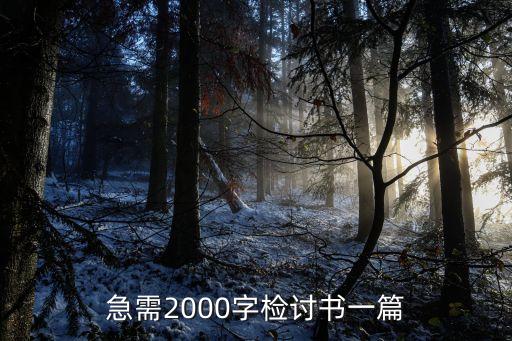 2000字檢討書，急需2000字檢討書一篇