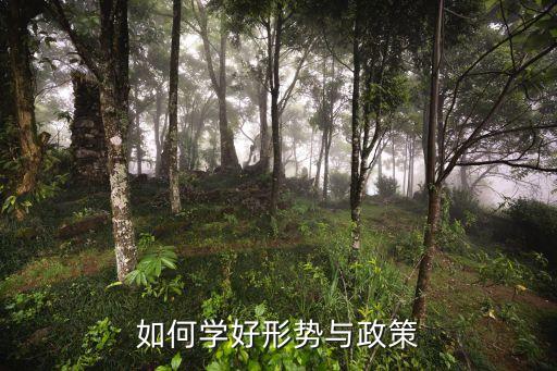 形勢與政策心得，形勢與政策期末總結