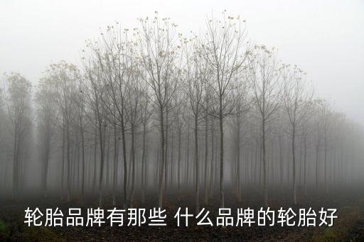 輪胎牌子，輪胎品牌有那些 什么品牌的輪胎好