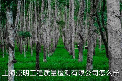 上海市崇明區質量檢測所，上海崇明工程質量檢測有限公司怎么樣