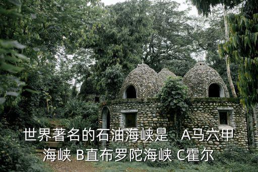 石油海峽，世界著名 石油海峽