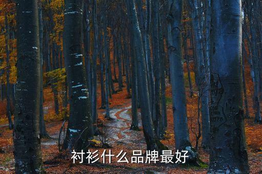 襯衣品牌，襯衫產(chǎn)品什么牌子好