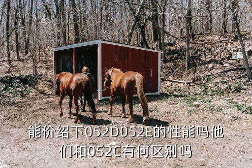 能價紹下052D052E的性能嗎他們和052C有何區別嗎