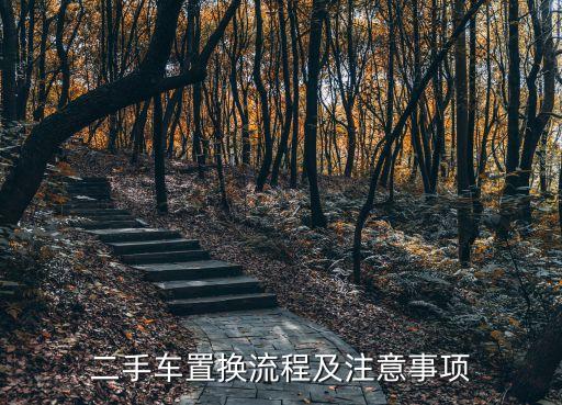 二手車置換，什么是2手車置換