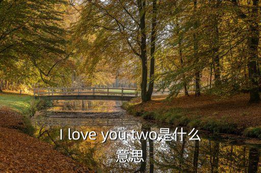 柳井俊二，土肥源賢二是做什么的