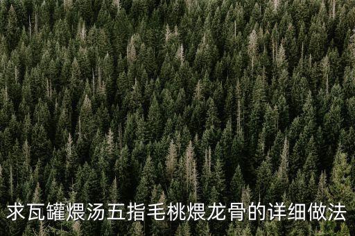 五指毛桃龍骨湯，花生龍骨五指毛桃可以一起煲湯嗎