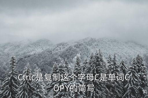 Ctrlc是復制這個字母C是單詞COPY的簡寫