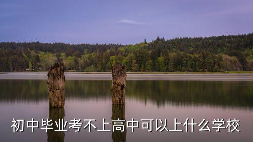 初中畢業考不上高中可以上什么學校