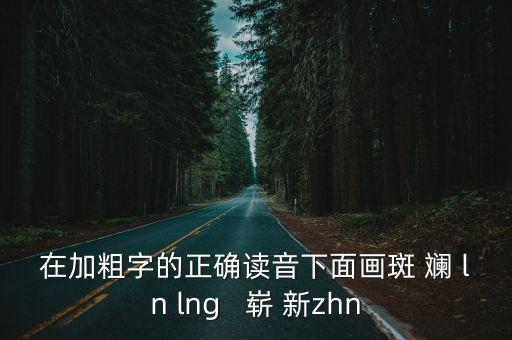 斑斕的拼音，斑斕的斕怎么讀