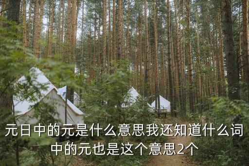 元日中的元是什么意思我還知道什么詞中的元也是這個意思2個