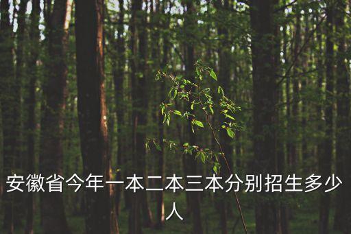 安徽省今年一本二本三本分別招生多少人