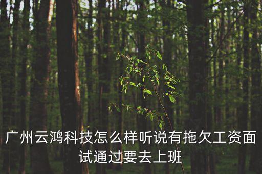 廣州云鴻科技怎么樣聽說有拖欠工資面試通過要去上班