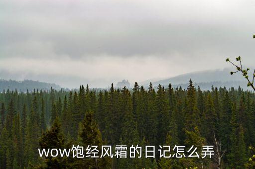 wow飽經風霜的日記怎么弄