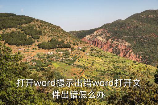 word出現問題，Word 文檔打開報錯