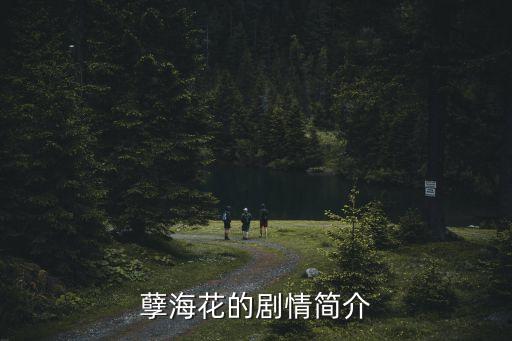 孽海花的劇情簡介