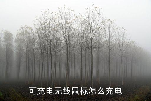 無線鼠標怎么充電，金士頓無線鼠標怎么充電