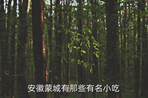 安徽蒙城有那些有名小吃