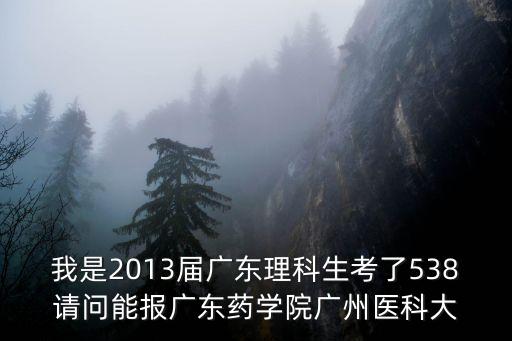 廣州醫科大學 藥學院，我是2013屆廣東理科生考了538請問能報廣東藥學院廣州醫科大