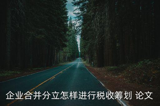 納稅籌劃論文，求一篇企業所得稅的納稅籌劃的論文及提綱
