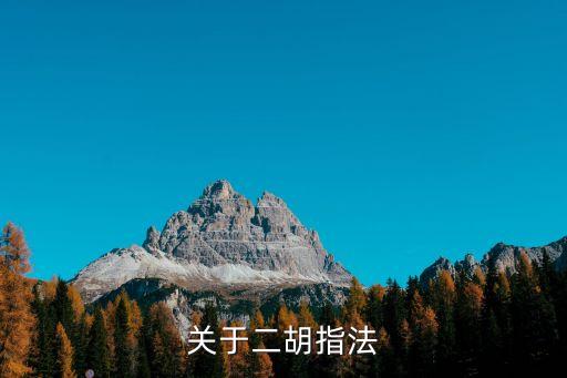 二胡的指法，關于二胡指法