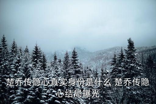 趙炫棋，楚喬傳第十集在公主旁邊的男的是誰演的