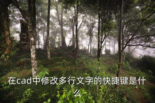 cad文字快捷鍵，CAD退出文字標(biāo)注有什么快捷鍵
