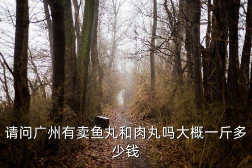 廣州哪里有魚丸賣，廣州地區(qū)哪里賣魚丸好吃