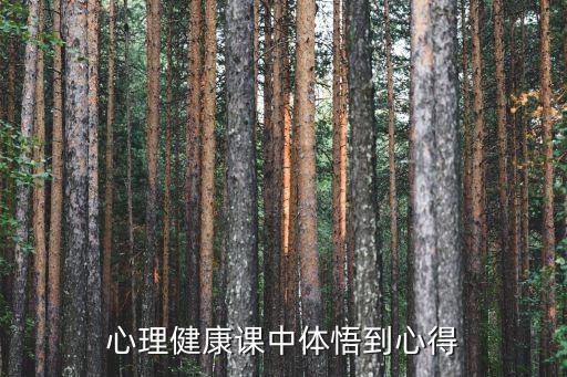 心理健康課中體悟到心得