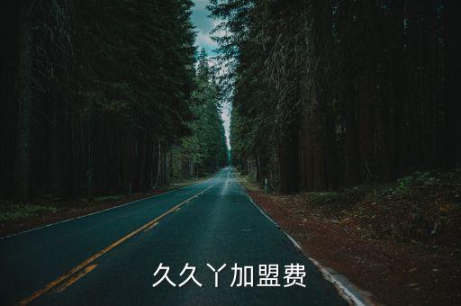 久久丫加盟費