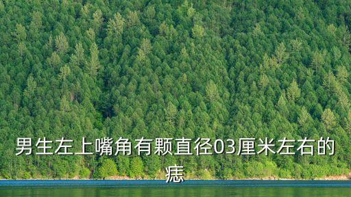 男生左上嘴角有顆直徑03厘米左右的痣