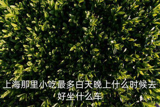上海市早餐車最多的地方，上海早餐車問題100分
