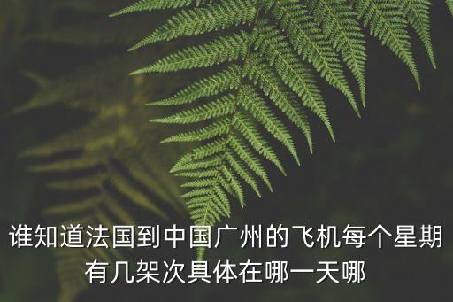 巴黎飛廣州航班時刻表，CZ348南方航空巴黎直飛廣州的準確時間