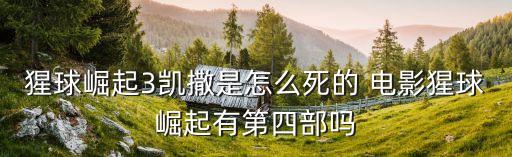 猩球崛起3結局，猩球崛起3凱撒是怎么死的 電影猩球崛起有第四部嗎
