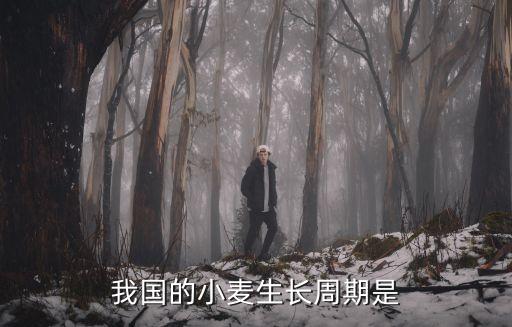 小麥生長周期，小麥的生長周期是多長