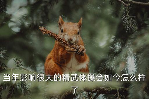 精武體操會，是不是真的有精武體操會