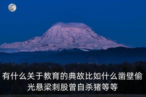 有什么關(guān)于教育的典故比如什么鑿壁偷光懸梁刺股曾自殺豬等等