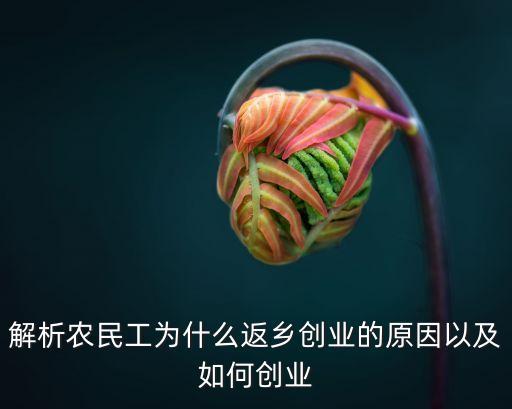 解析農(nóng)民工為什么返鄉(xiāng)創(chuàng)業(yè)的原因以及如何創(chuàng)業(yè)