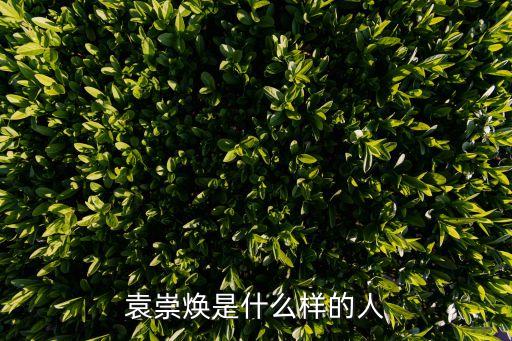 袁崇煥是什么樣的人