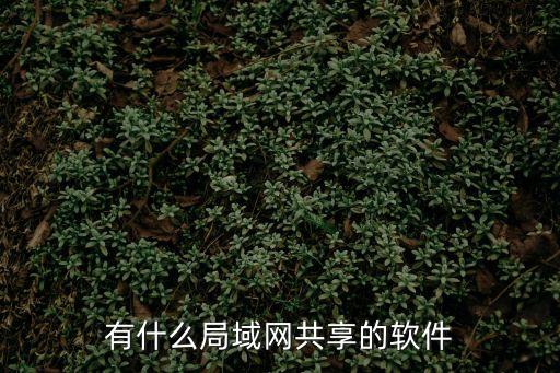 有什么局域網共享的軟件