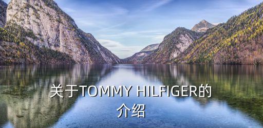 小美式風格，小美式風格電視背景墻怎么做適合