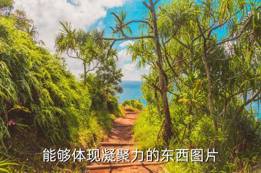 團(tuán)結(jié)一心的圖片，能夠體現(xiàn)凝聚力的東西圖片